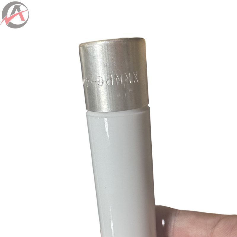 Copper Xian Fusegear High Voltage HRC Fuse XRNP6-40.5/0.5-31.5-1 Current Limiting for Voltage Transformer Protection